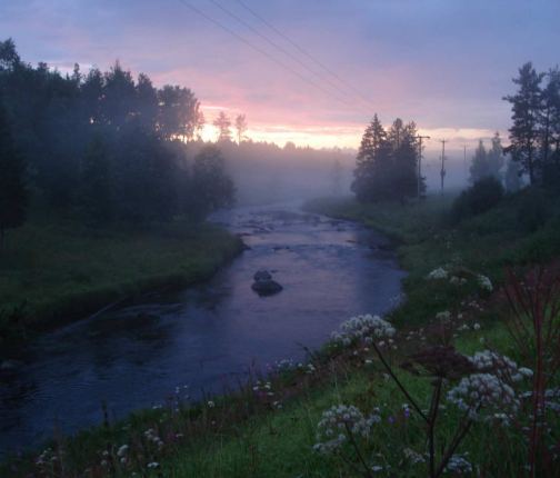 Sommarafton vid R��n